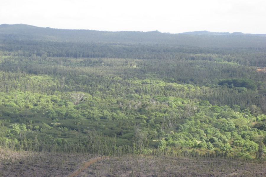 ../image/big island spectacular  lava flow 12.jpg